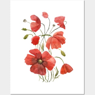 Poppies Posters and Art